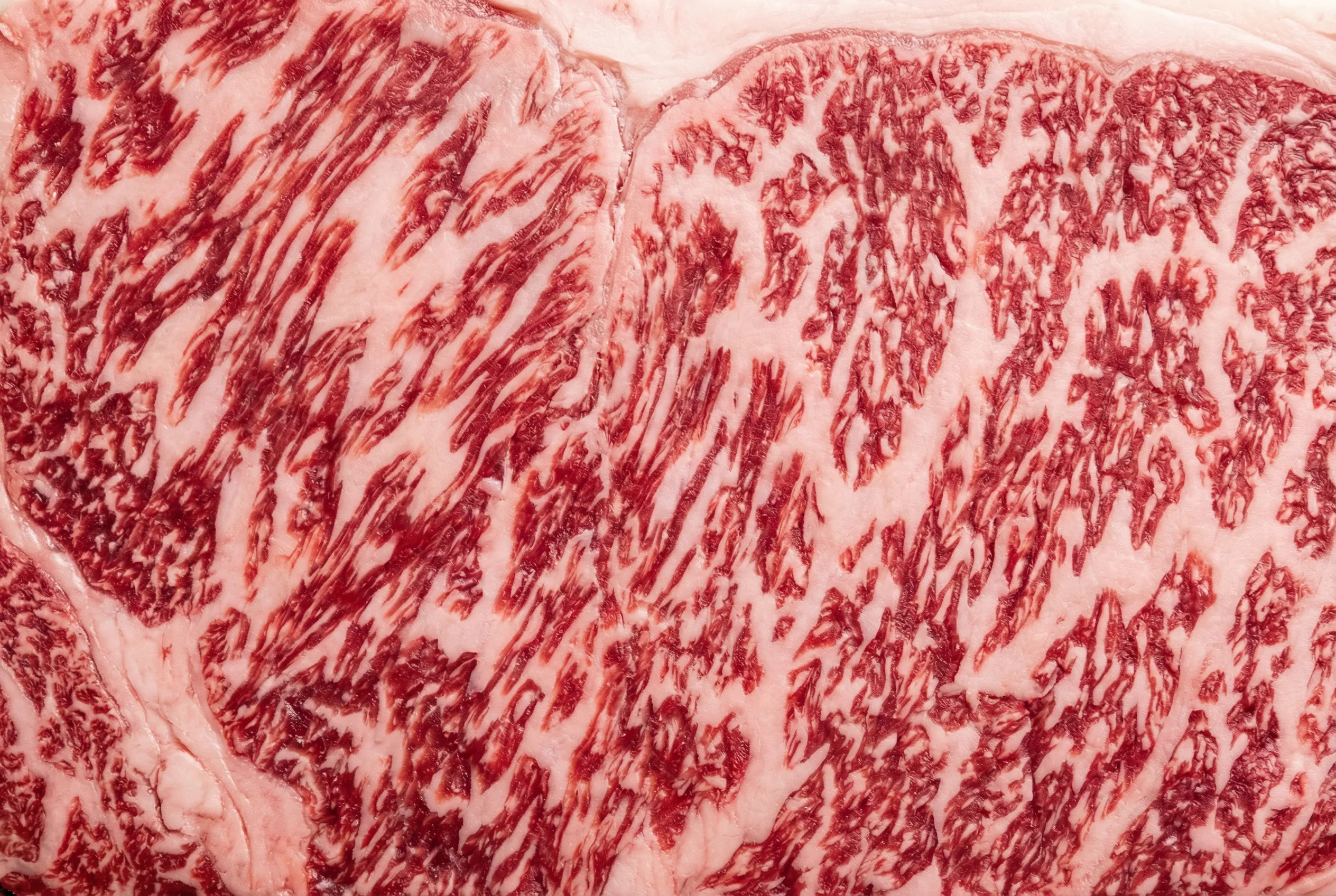 dachsteinwagyu-closeup