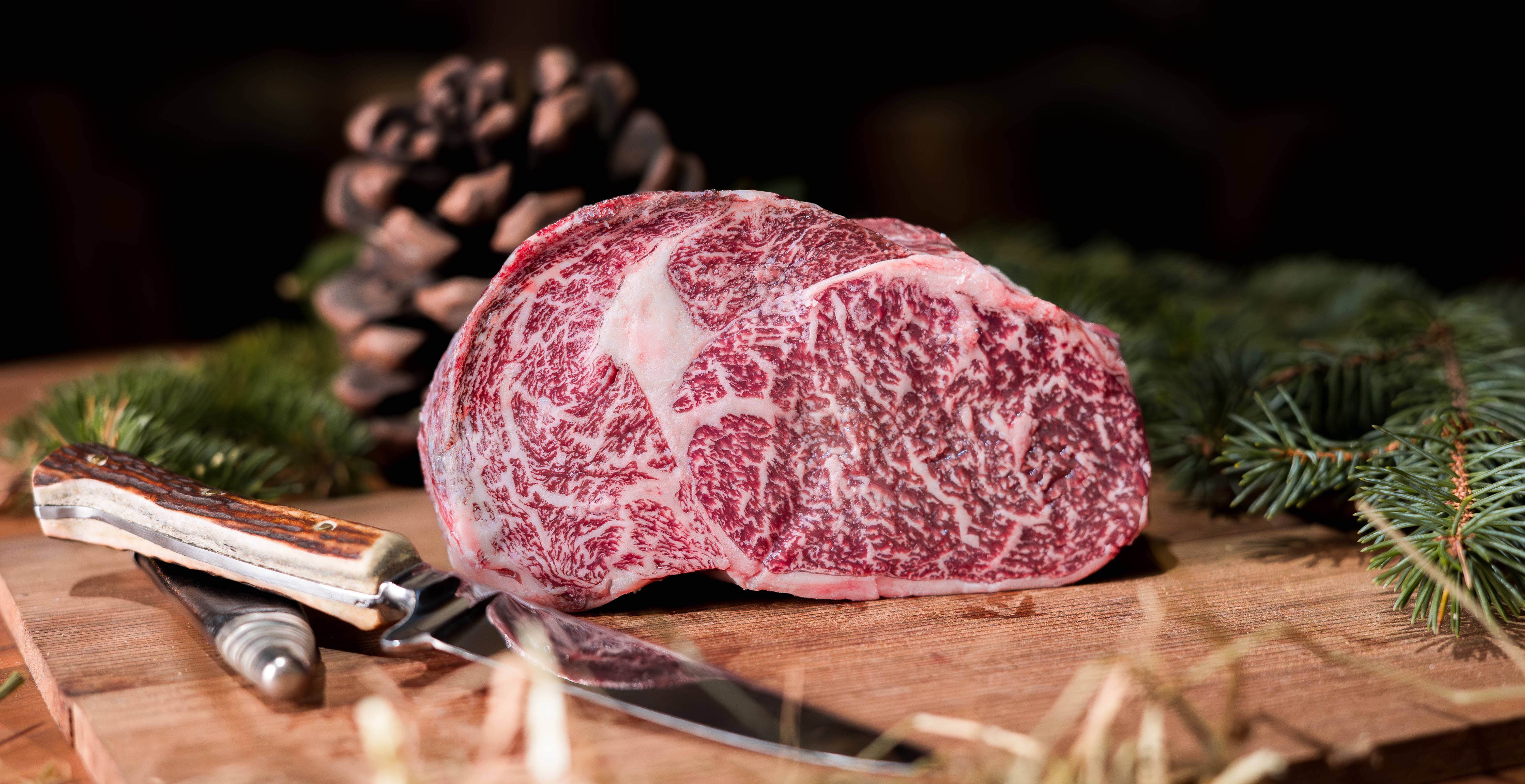 dwy-wagyufleisch-5.1.69a9d8f86e34d